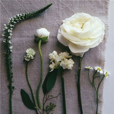 中远海控2025年营收、净利润双降，航运巨头的高股息还能撑多久？